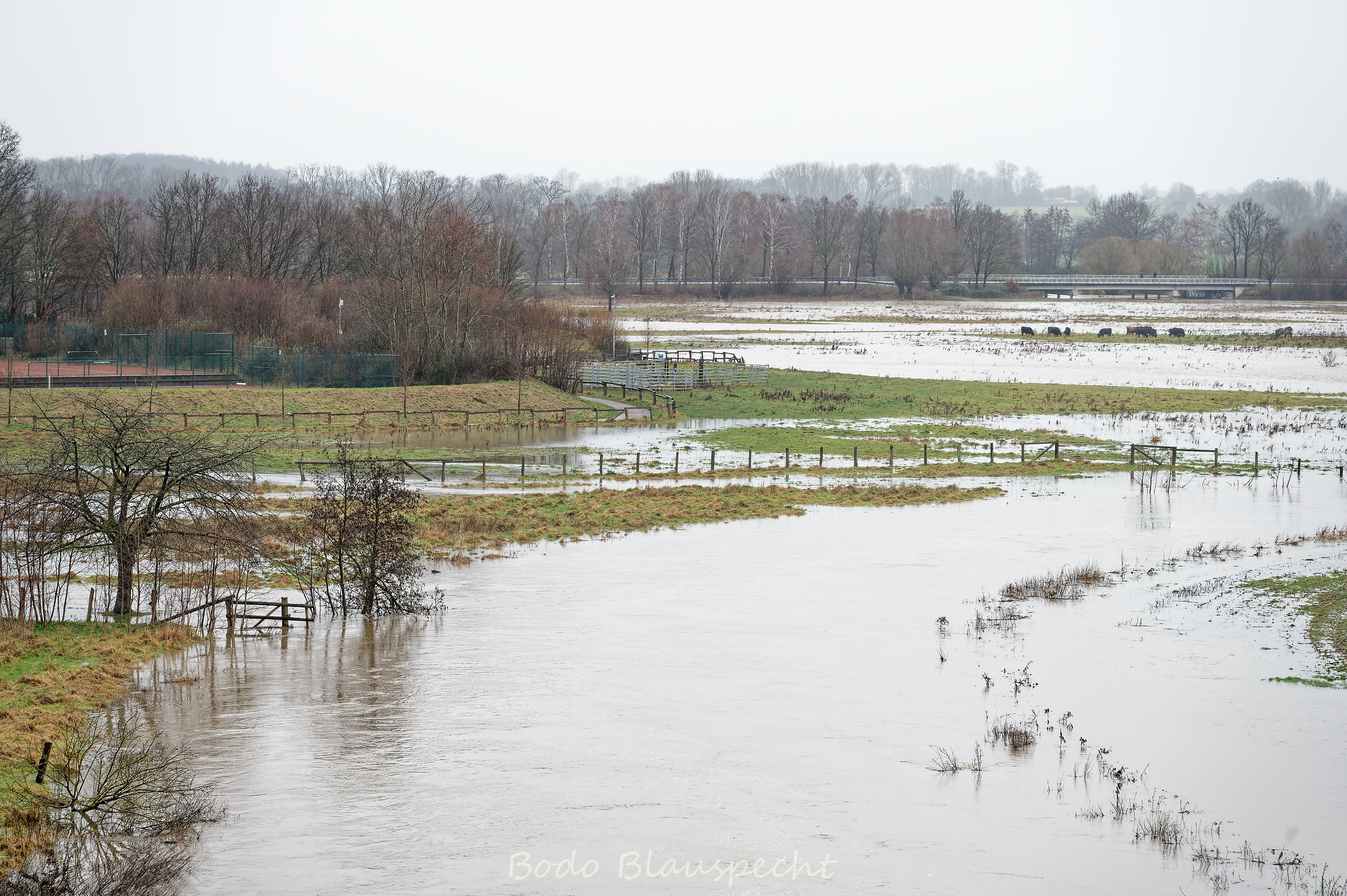 Hochwasser   Steveraue   2023.12.23 16.06 101 WEB